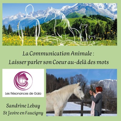 Conférence « La communication animale, au delà des mots »